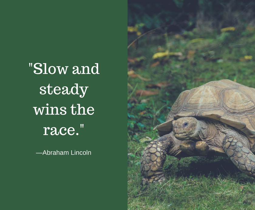 Slow and steady wins the race for social media marketing management. We remind our readers that consistency and a steady strategy is important for social media marketing.